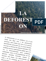 La Deforestacion (1)