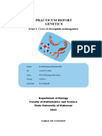 Laporan Genetika Unit 3 Persilangan Drosophila Melanogaster