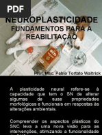 Neuroplasticidade – Fundamentos Para a ReabilitaÇÃo