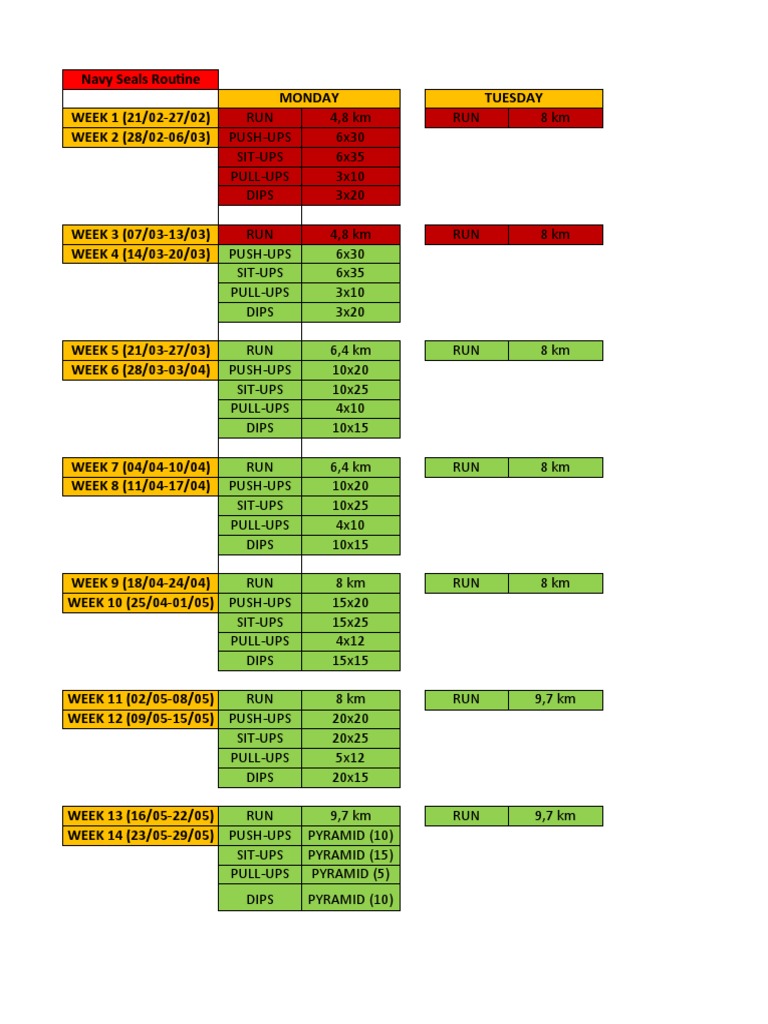 Navy Seals Routine | PDF