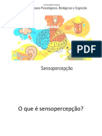 SLIDE  sensopercepcao