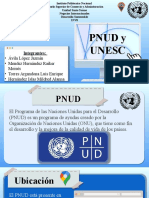 Presentacion PNUD y UNESCO (Azul)