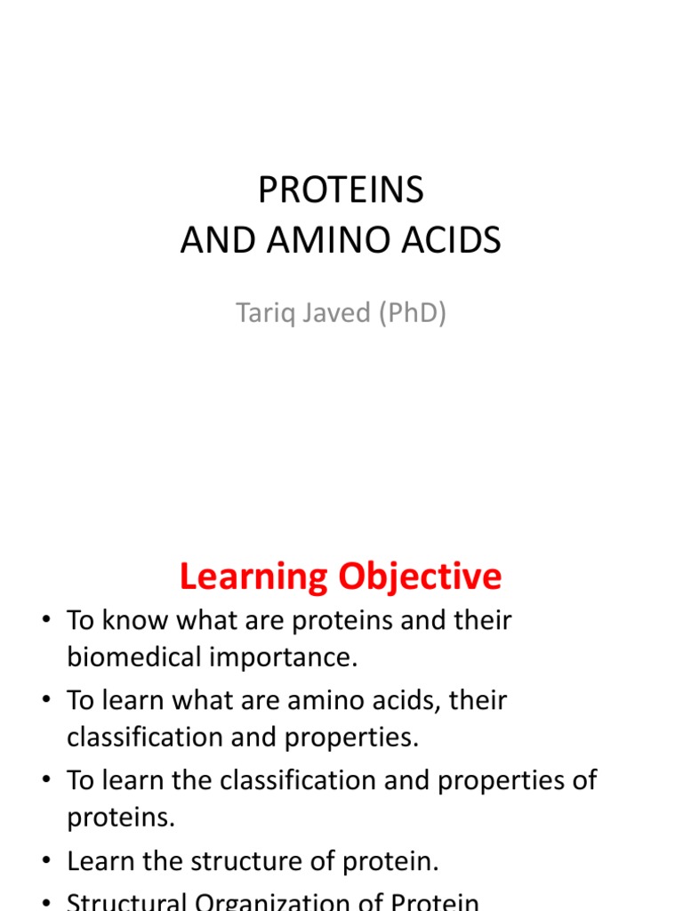 3 Proteins and Amino Acids PDF Amino Acid Proteins