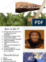 B.X. Australopithecus Anamensis Powerpoint