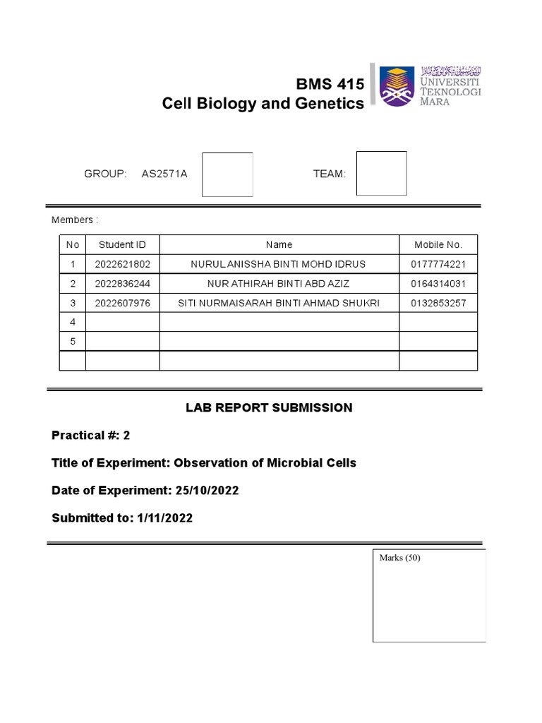 Bacillus subtilis Microscopy Lab Report | PDF | Staining | Bacteria