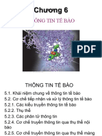 Chương 5. Thông Tin Tế Bào