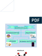 Biomoleculas