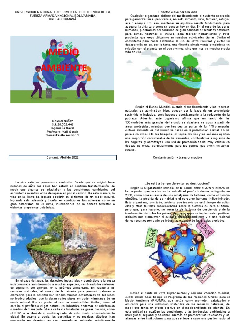 Diptico Medio Ambiente | PDF | Entorno natural | Alimentos