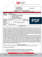 Informe 4 - Murmullo Vesicular