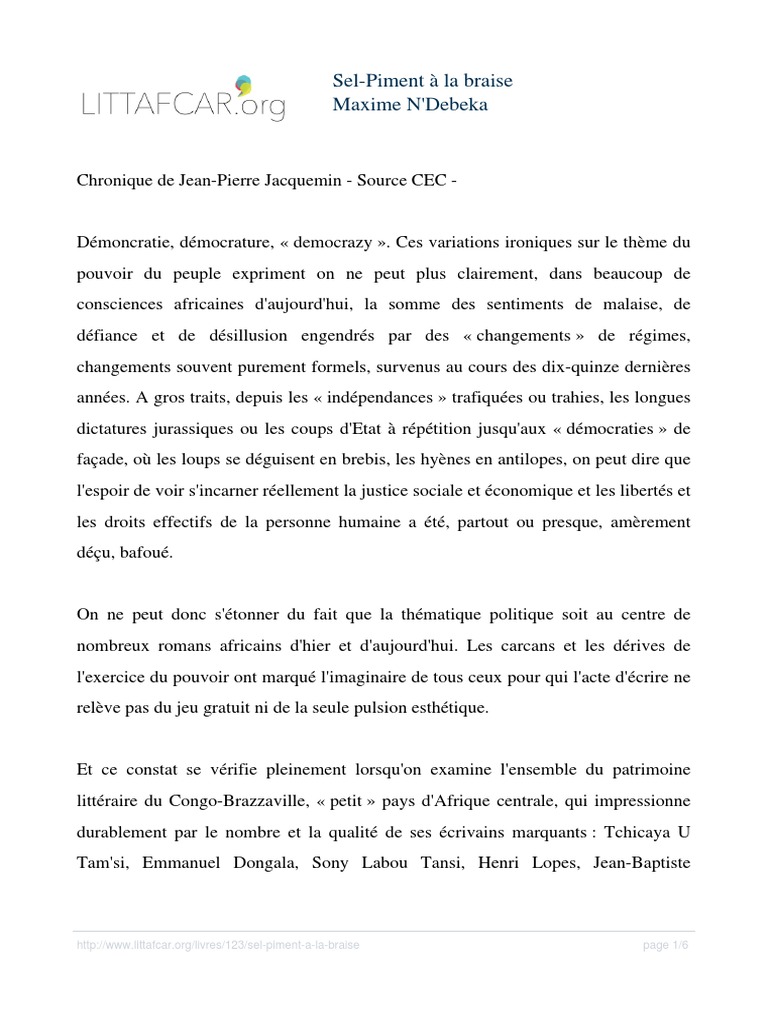 Démocratie et Désillusion Congolaise | PDF | Jeunes adultes | Classiques