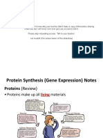 3.2.1 - Protein Synthesis