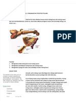 PDF Praktikum Tulang Compress