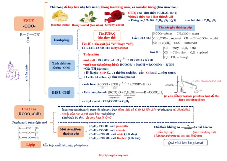 Tom Tat Ly Thuyet Chuong 1 Pdf