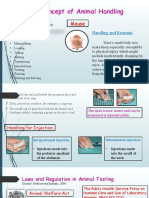 Animal Handling Part