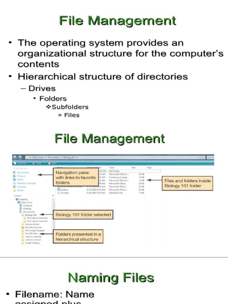File Management Sytem and Data Storage | PDF | Ascii | Byte