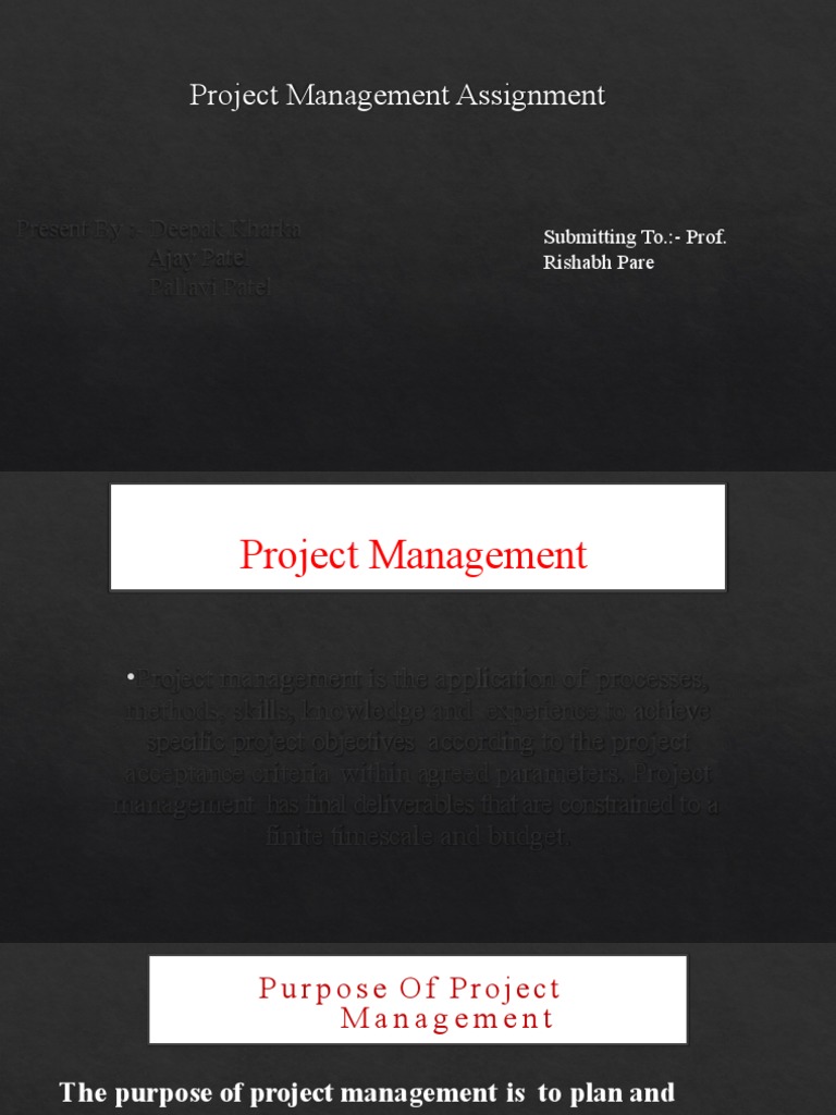 Project Management | Download Free PDF | Project Management | Business