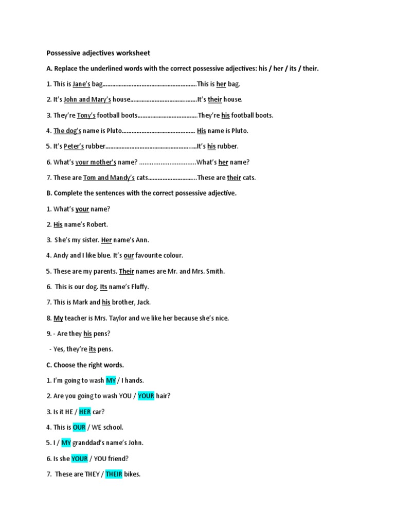 Possessive Adjectives Practice Worksheet | PDF