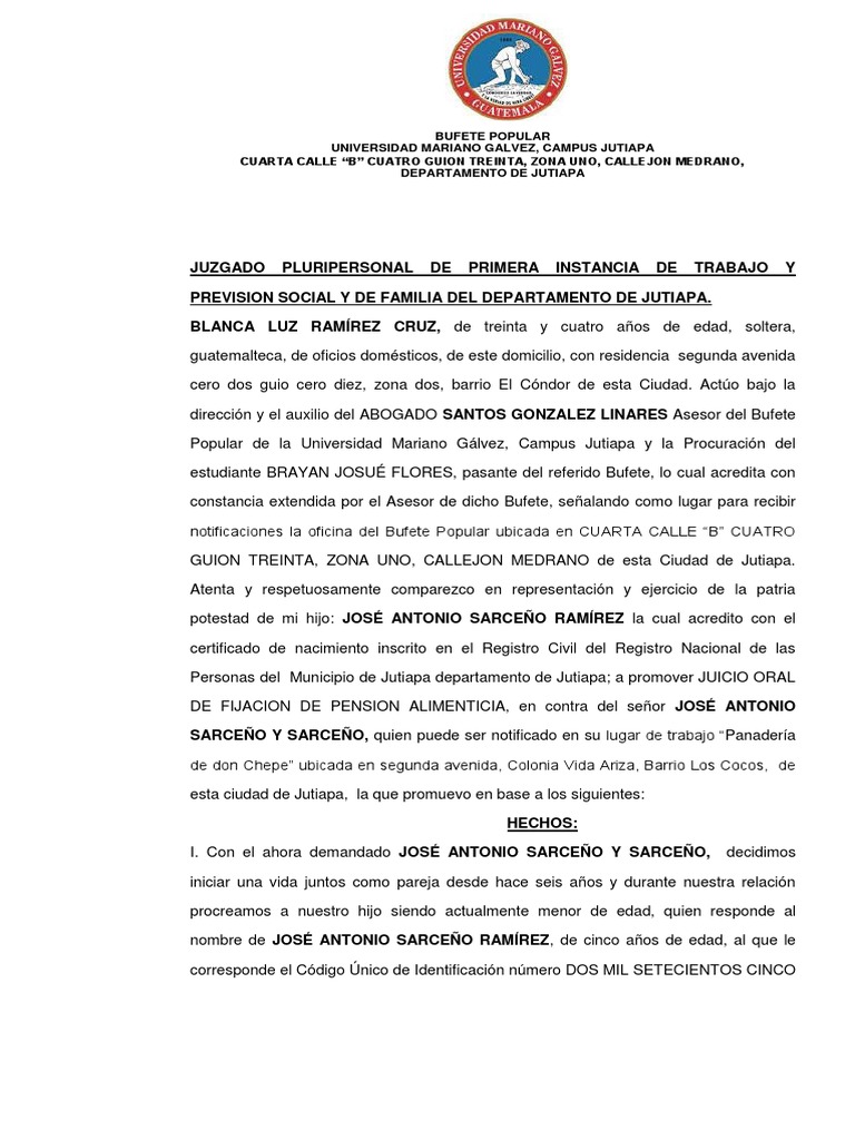 Juicio Oral de Alimentos | PDF | Esfera pública | Derecho civil