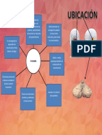 Anatomia Tarea Semana 14