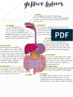 The Digestive System