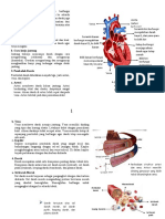 Bab 4 Organ Peredaran Darah Manusia