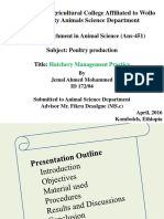 Jemal Practical Attachment Final PDF