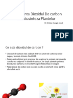 Importanta Dioxidului de Carbon