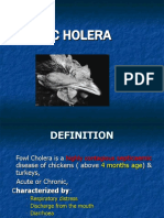 T-2 Fowl Cholera