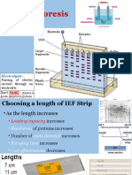 Electrophoresis (Part II)