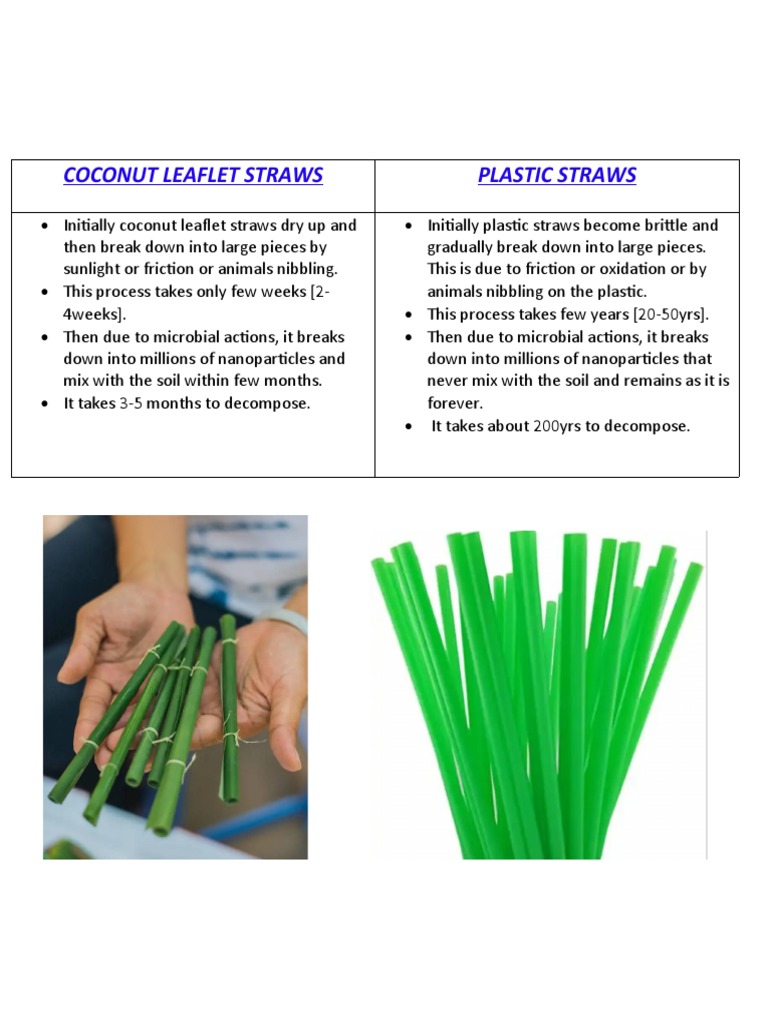 The Sustainable Solution Comparing the of Coconut