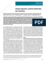 02 - Distinct_hippocampal_engrams_control_ext