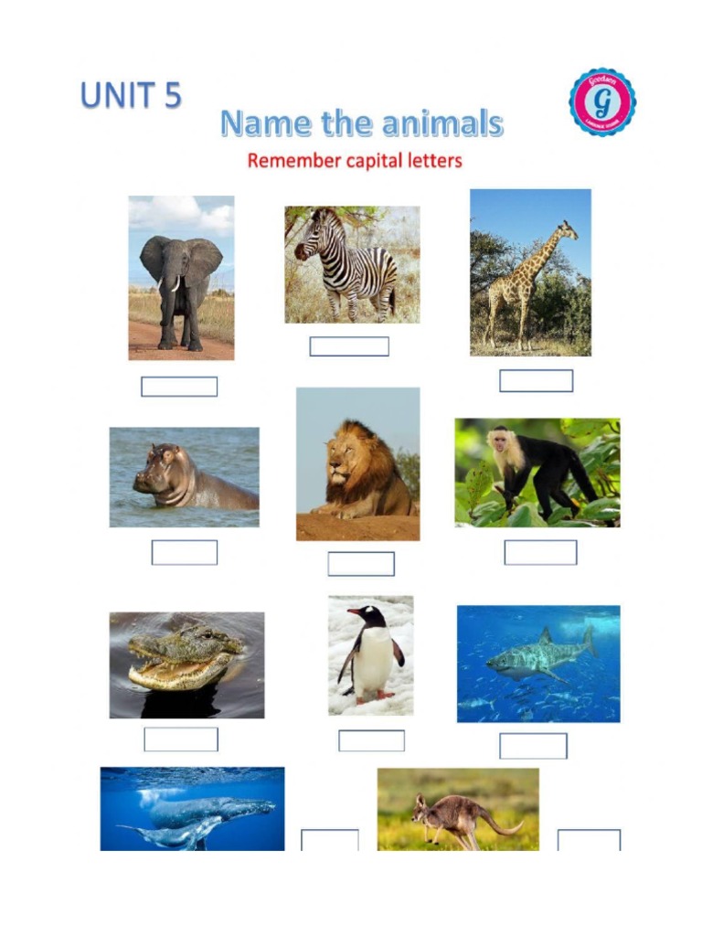 Animal Quiz | PDF