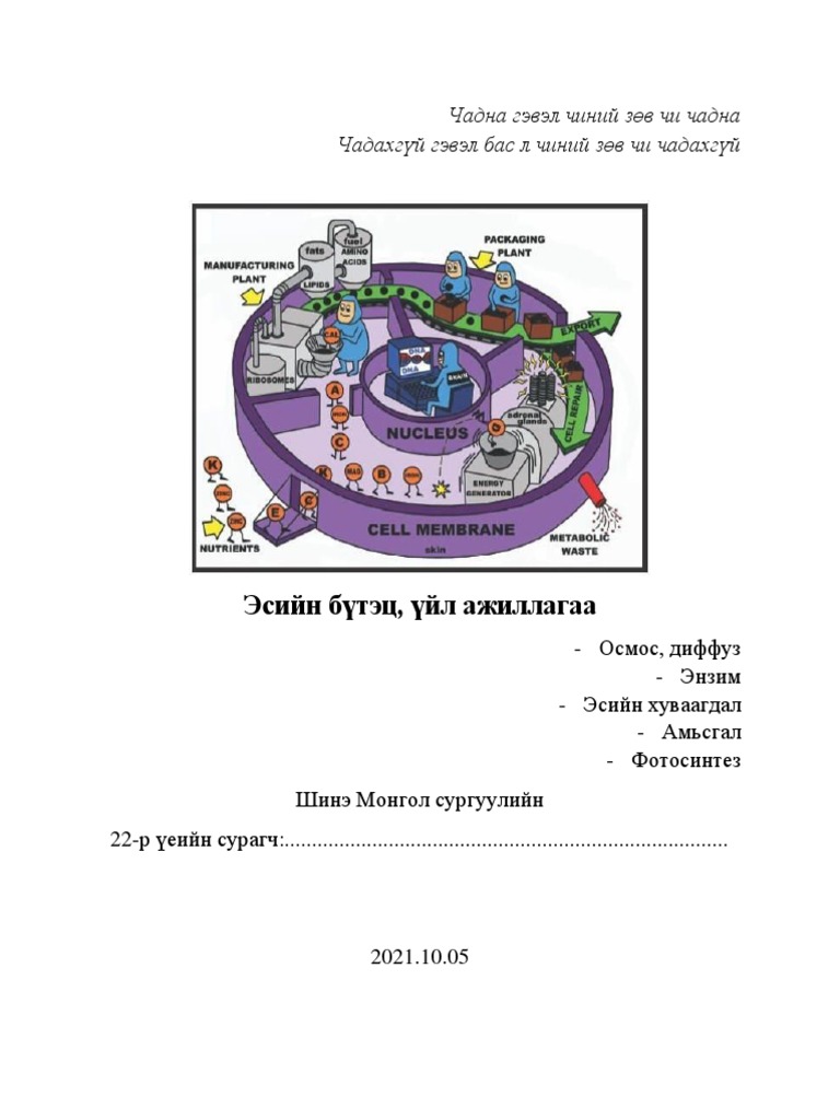11-Биологи ажлын хуудас-эс-энзим-уураг-хуваагдал | PDF