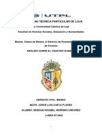 Análisis Sobre El Cadáver Humano