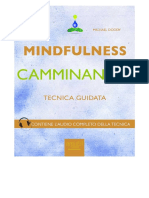 MindfulnessCamminando