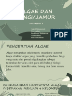 Mikrobiologi Algae Kel.3 FX