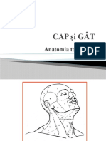 CAP Şi GÂT