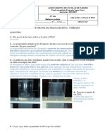 Atividade DNA Celulas BOCA Correcao