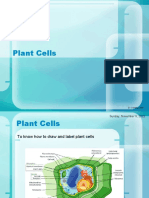 5 Plant Cells