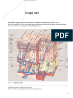 Structure and Function of The Skin 2016.en - Id