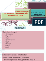 Embrylogy Fertilization