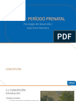 Período Prenatal