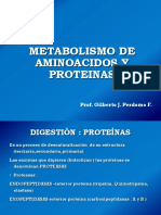 Metabolismo de aminoácidos y proteínas