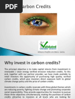 Eye on Carbon Credits