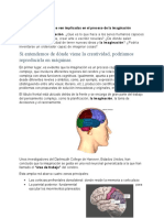 Areas Del Cerebro