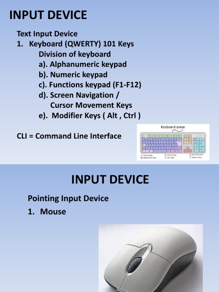 Input and Output Devices | PDF