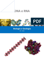 B1_DNA e  RNA