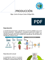 Reproducción: Blgo. Carlos Enrique Cubas Zúñiga MSC