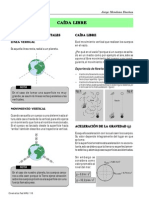 14 cinematica caida libre