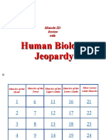 GAME - Jeopardy Muscle ID